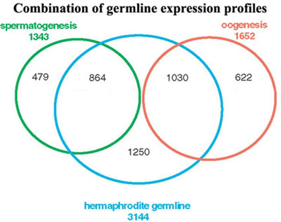  Germline gene sets figure 2